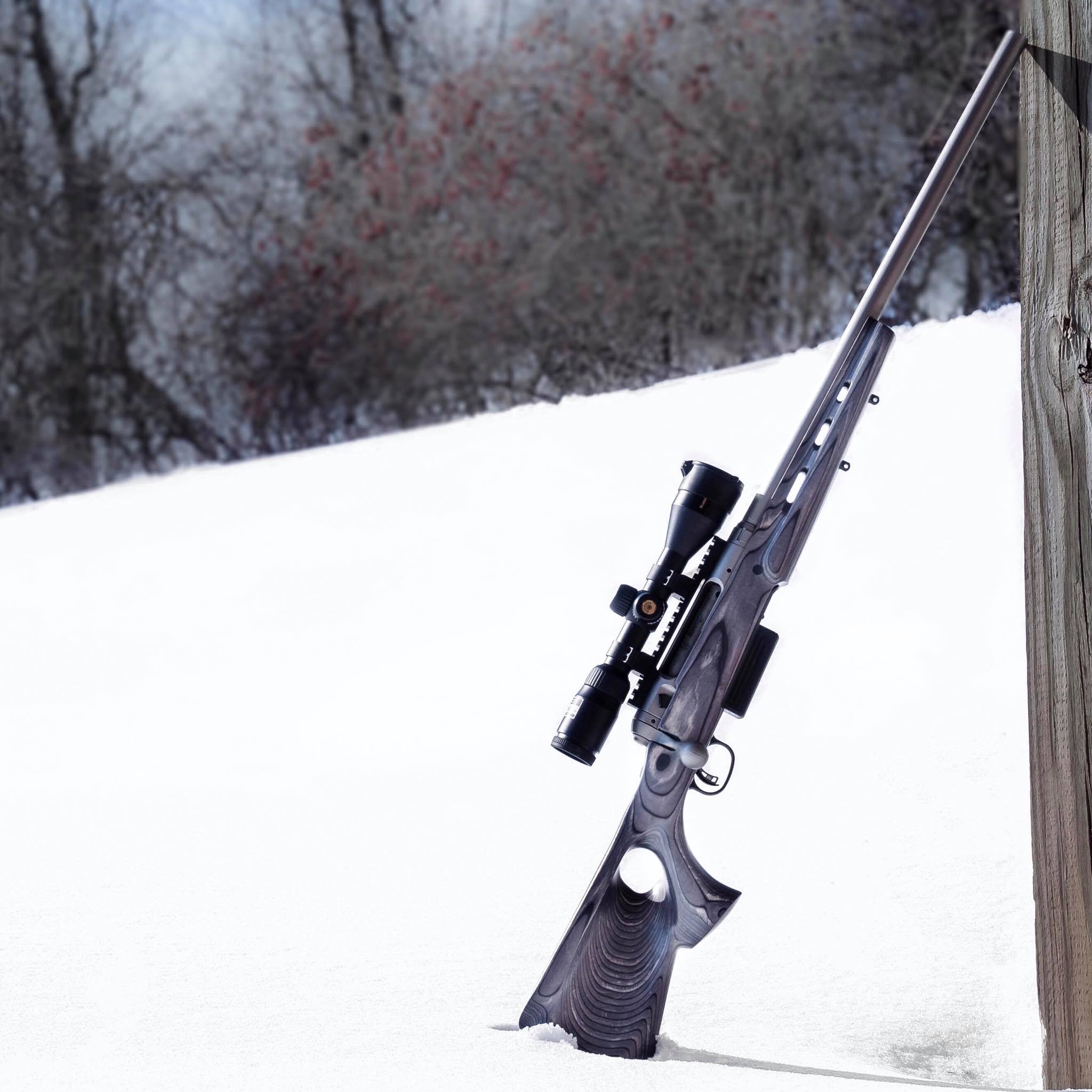 Savage 220 complete with Boyds