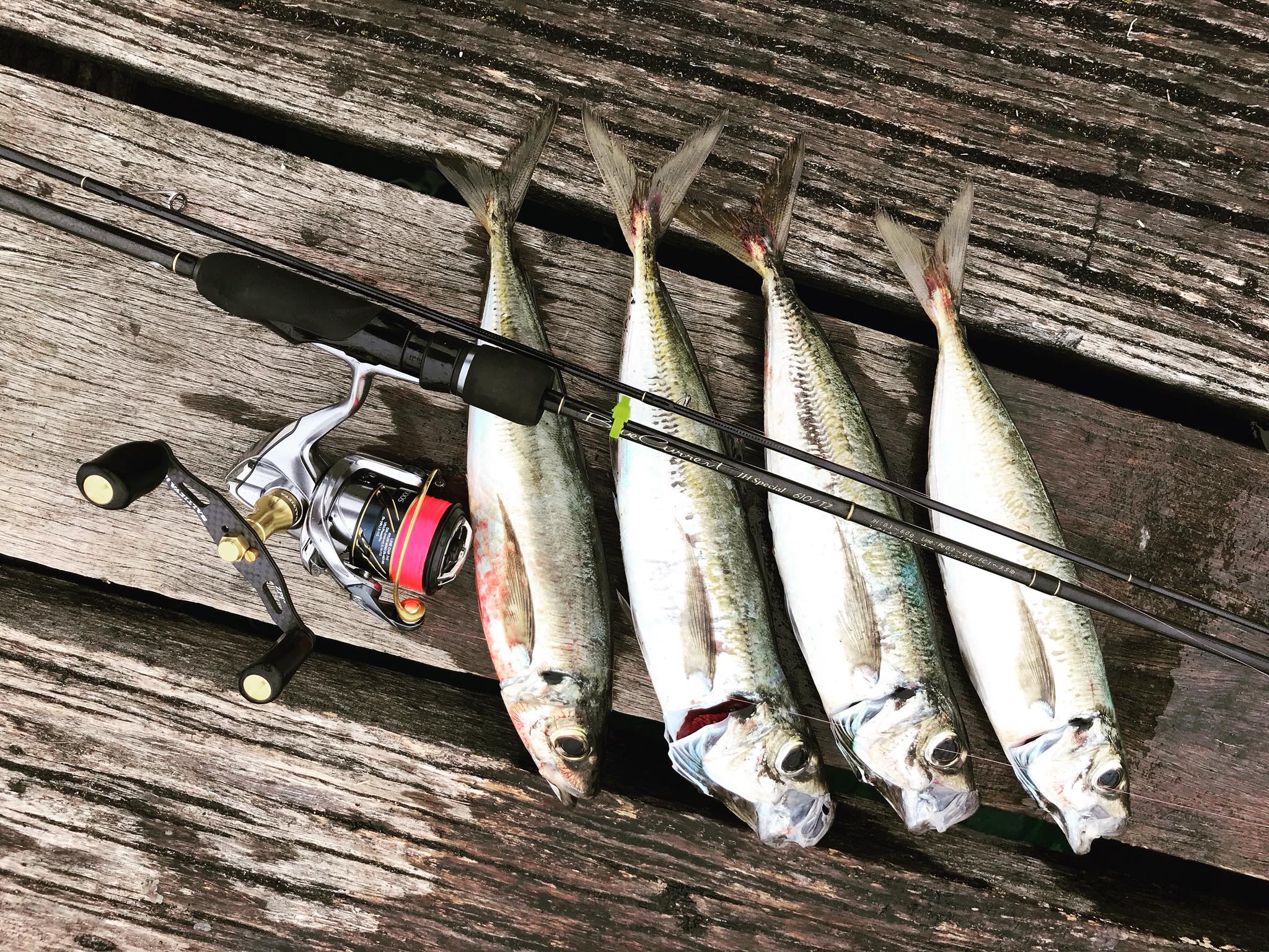 centre pin fishing reels uk HALCYON 4.5 CENTERPIN REEL Senecio radicans - String double drop rig Hook Finish:Sea Guard