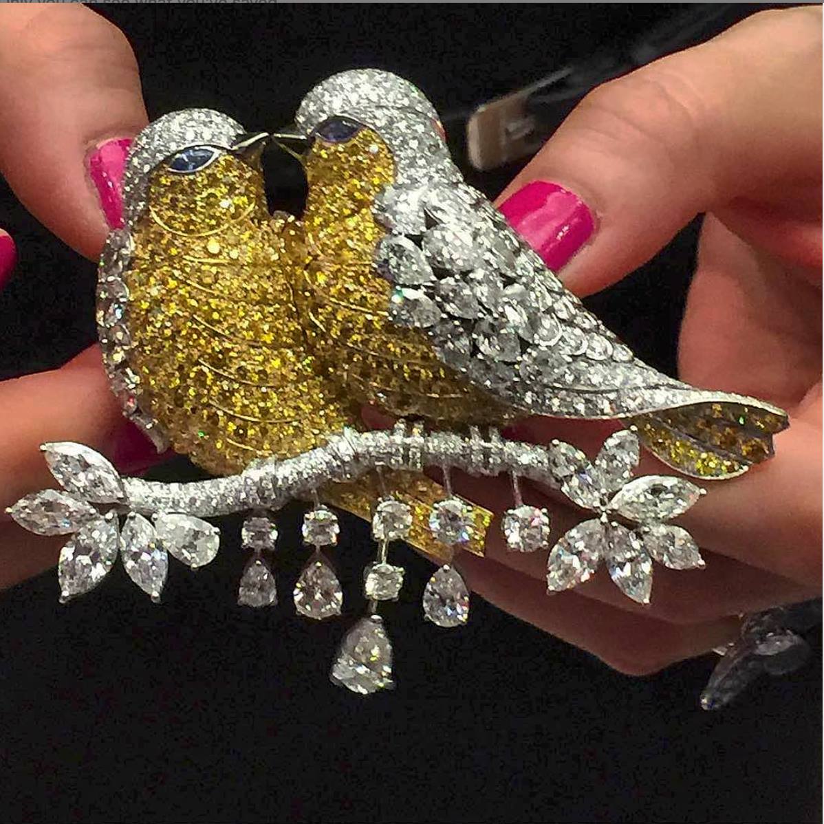 One of my all time Graff Diamond Bird Brooch