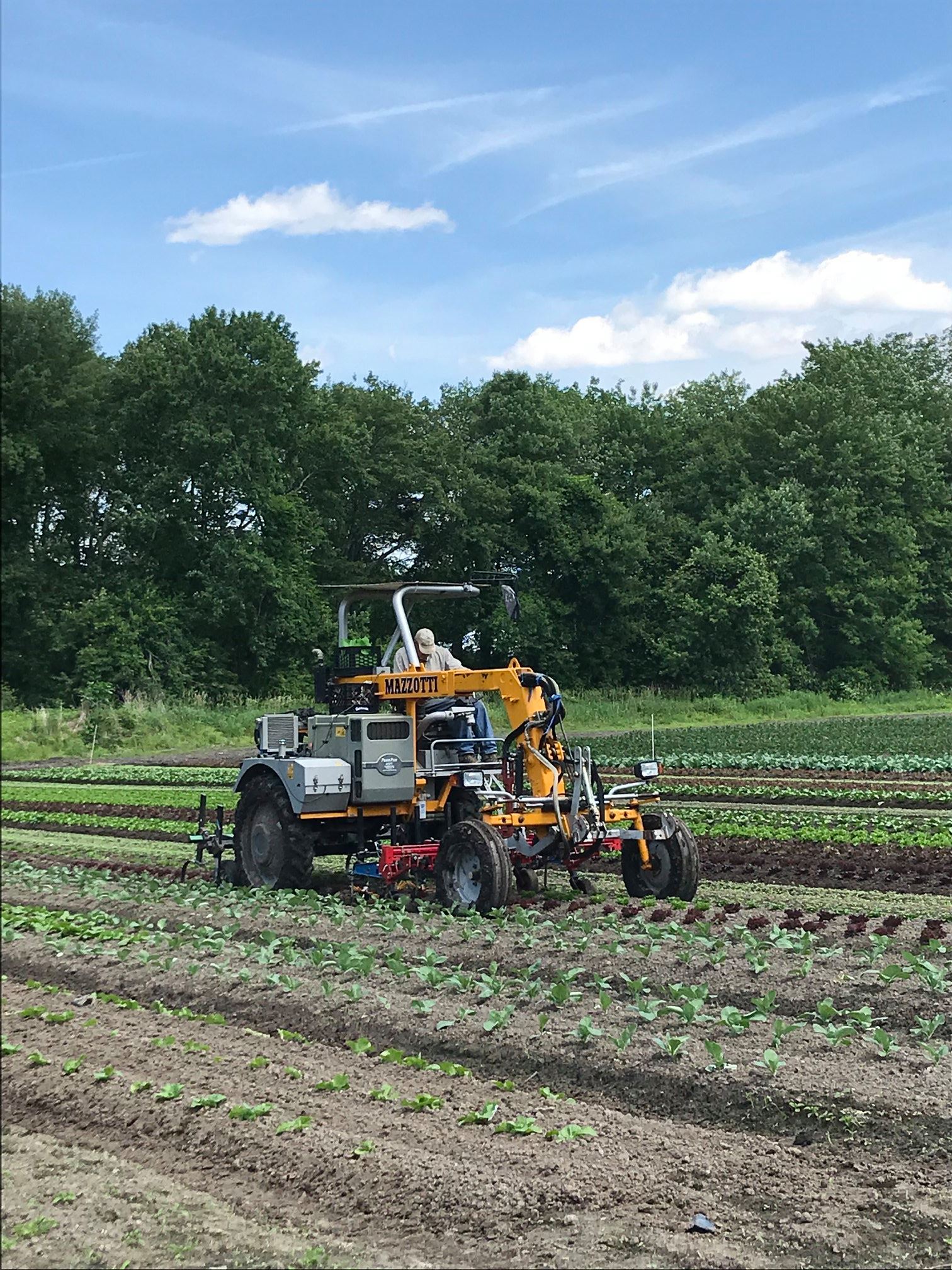 Verrill Farm - The farm crew has been working hard to keep...