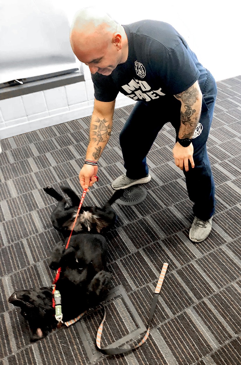 Basic Animal Rescue Training