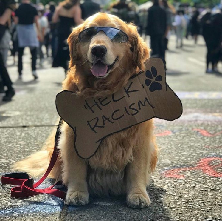 Heck Racism! We hope all these... - Prison Pet Partnership | Facebook