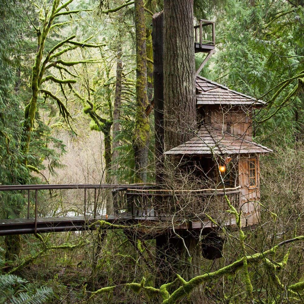Treehouse Point - 🍁🍂 Fall marks the beginning of crisp... | Facebook