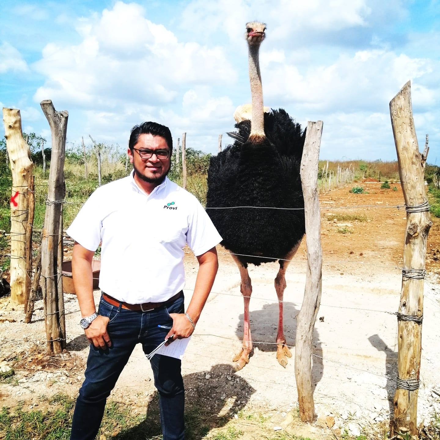 Provi - Alimentos Avepecuarios | Mérida