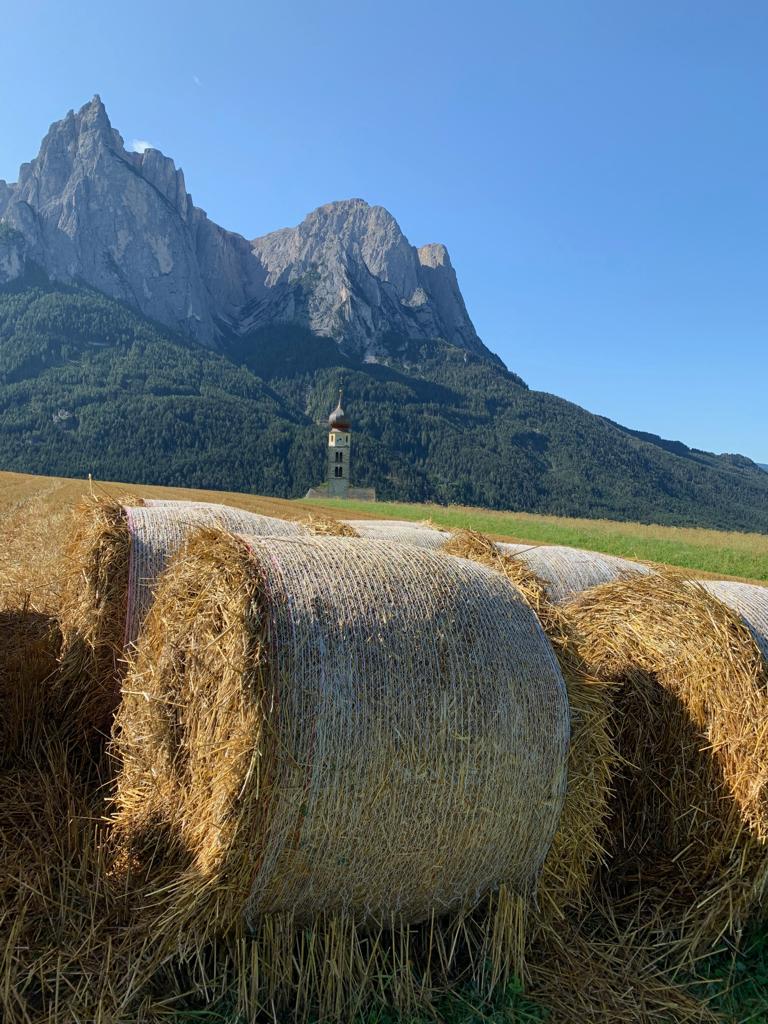 Der Weizen Ist Geerntet St Seiser Alm Alpe Di