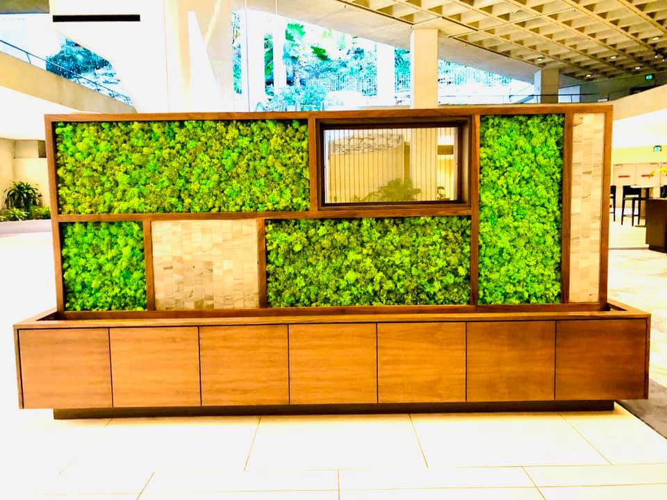 The Fat Plant Society added a new... - The Fat Plant Society