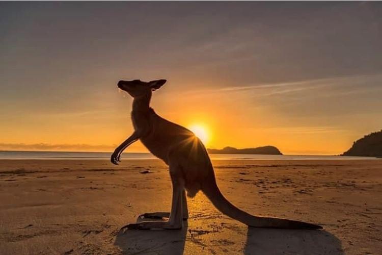 Mackay Regional Council - Catch the first ray of sunshine at ...