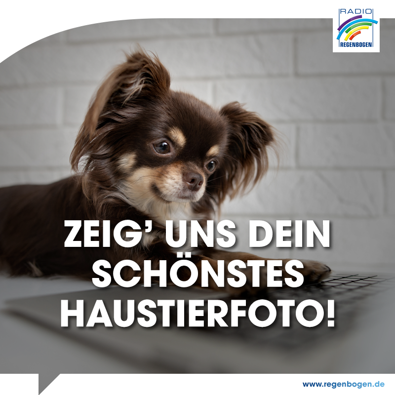 Radio Regenbogen Bejegyzesek Facebook