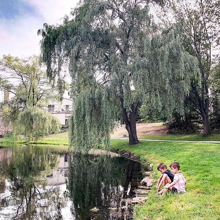 Perth - Wow. Such a gorgeous shot of Stewart Park. How lucky are we ...