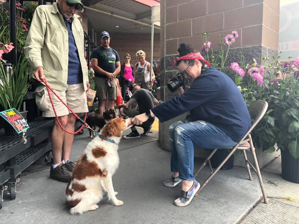 50 dogs entered so far at the Cover Dog... - CityDog Magazine