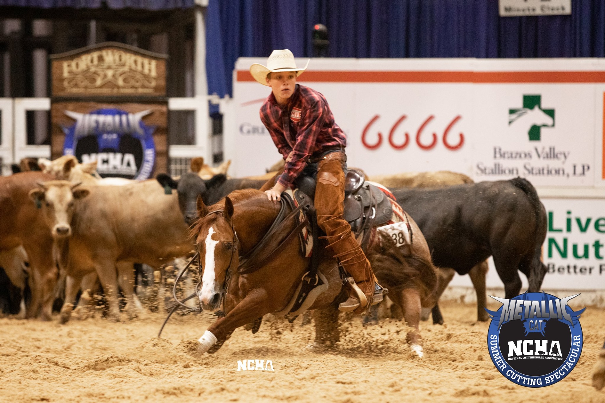 Congratulations to... - National Cutting Horse Association