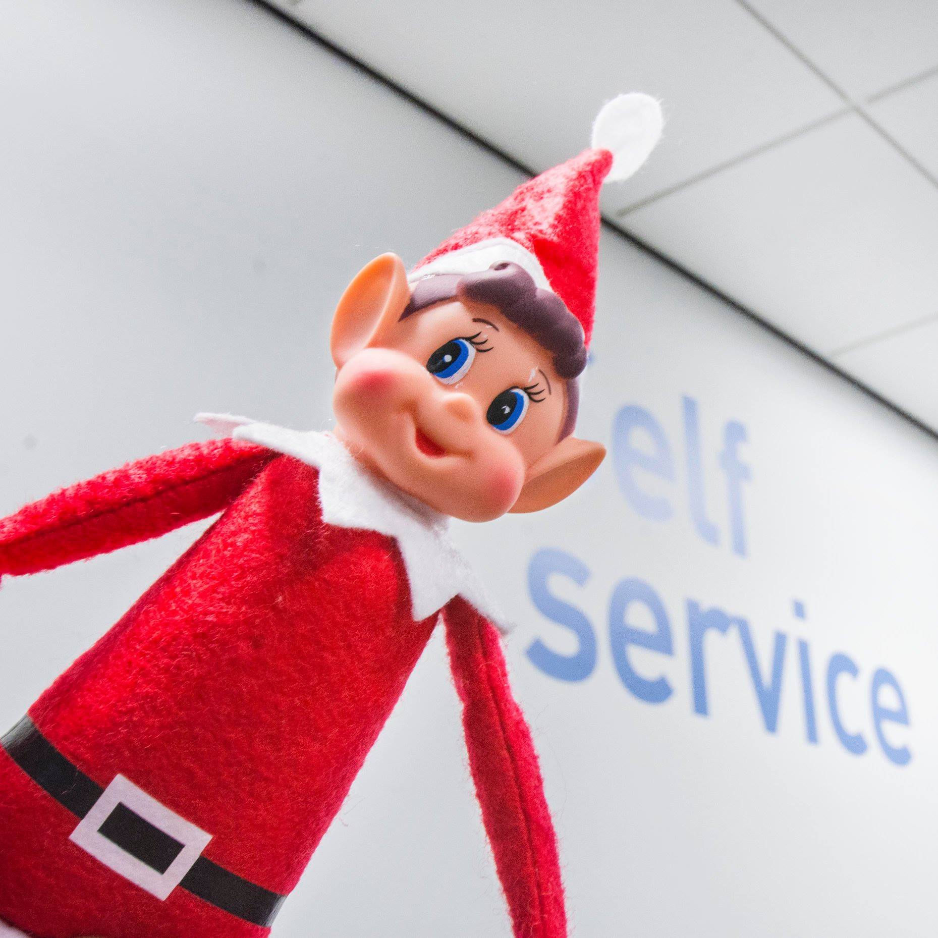 Our cheeky Inspire Elf... - Inspire Nottinghamshire Libraries