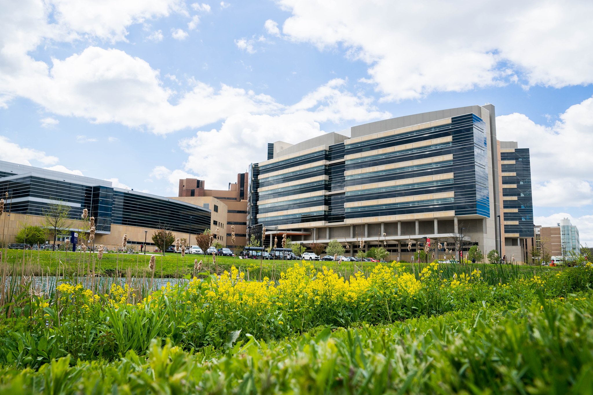 UW Health Carbone Cancer Center - Home