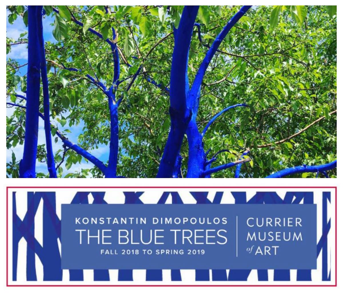 Blue Trees art installation in downtown Pensacola