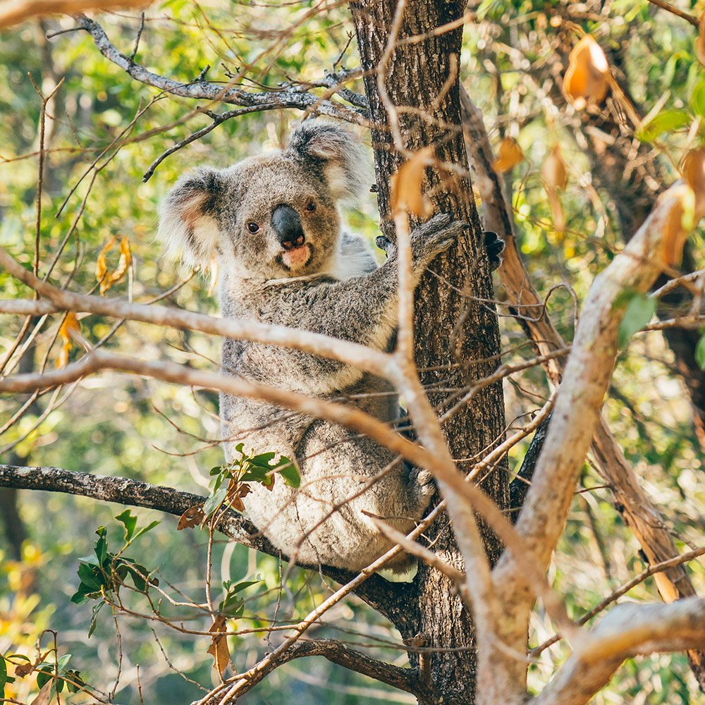 Secluded... - Freedom Destinations - The Australia Experts