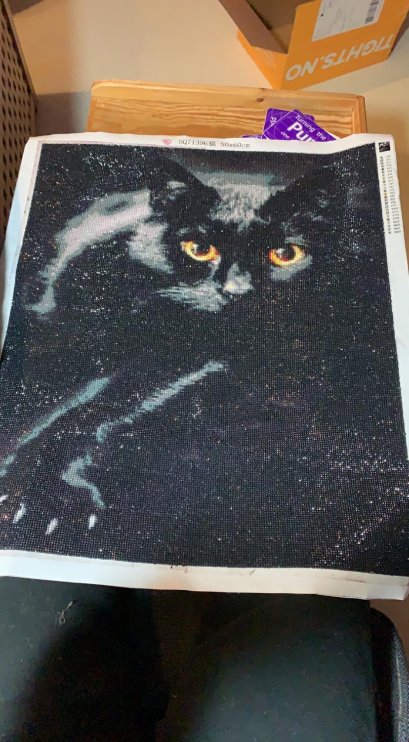 Finished 39.0 x 27.6 Black Cat By Candlelight diamond painting