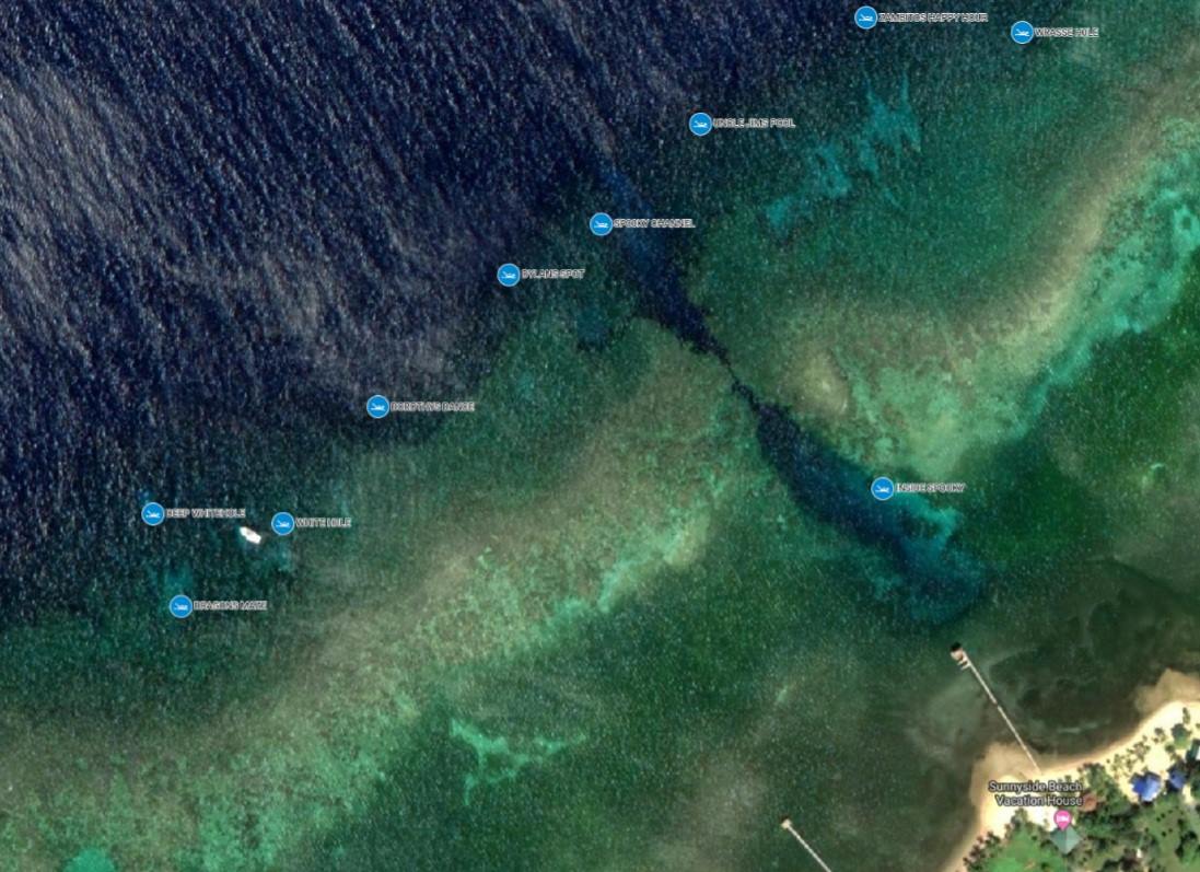 We would like to thank the Krings,... - Roatan Marine Park