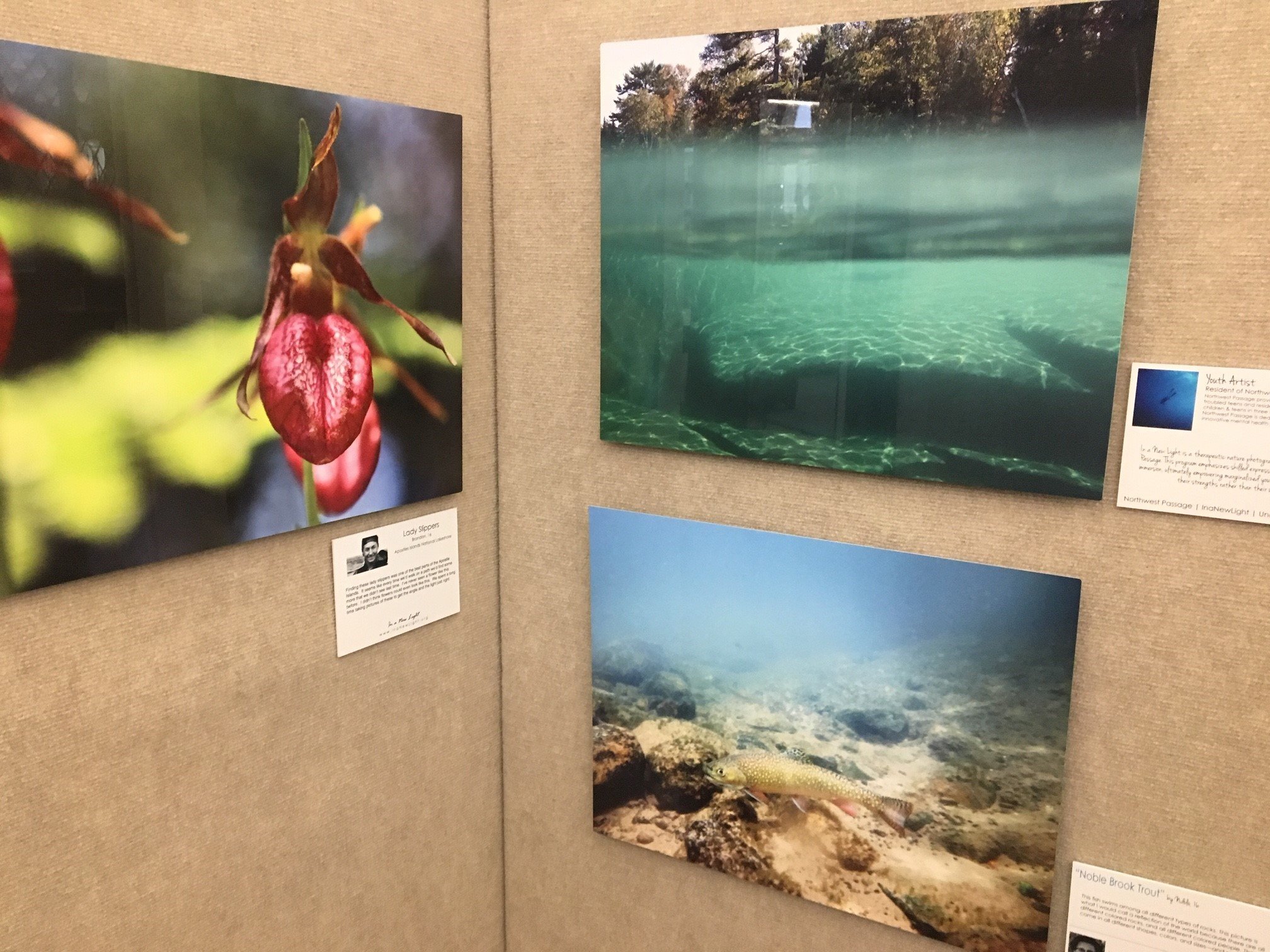 The UNDER THE SURFACE exhibit... - UW Wisconsin Water Library