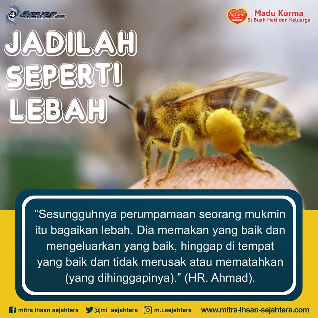 Mitra Ihsan Sejahtera Jadilah Engkau Seperti Lebah Yang Hanya Mengambil Kebaikan Dari Sari Sari Bunga Dan Meninggalkan Keburukan Keburukan Al Imam As Syaafi I Rahimahullah Berkata Jika Engkau Ingin Hidup Selamat Dari Kehinaan Agamamu