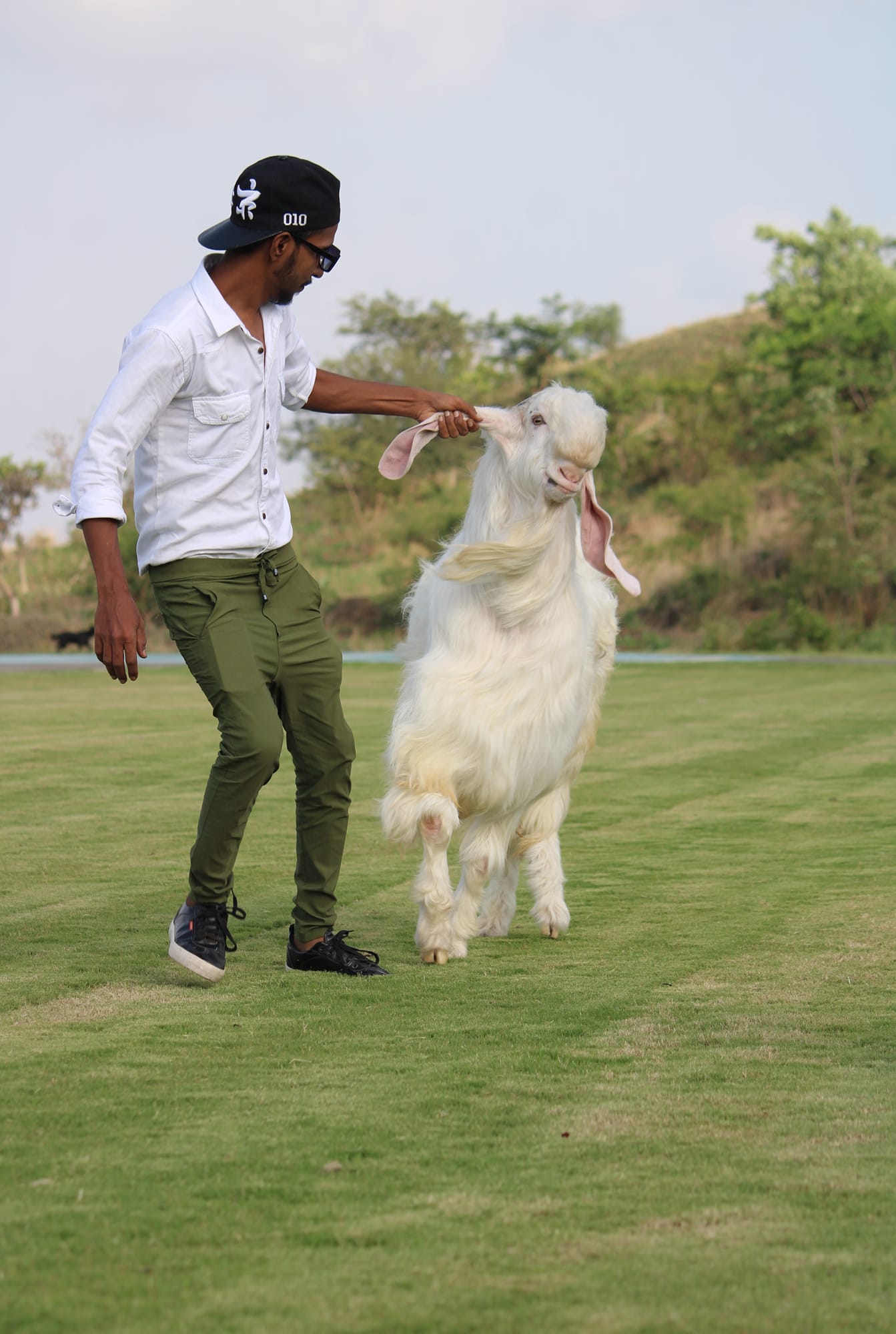 Rustam goat farm | Pune