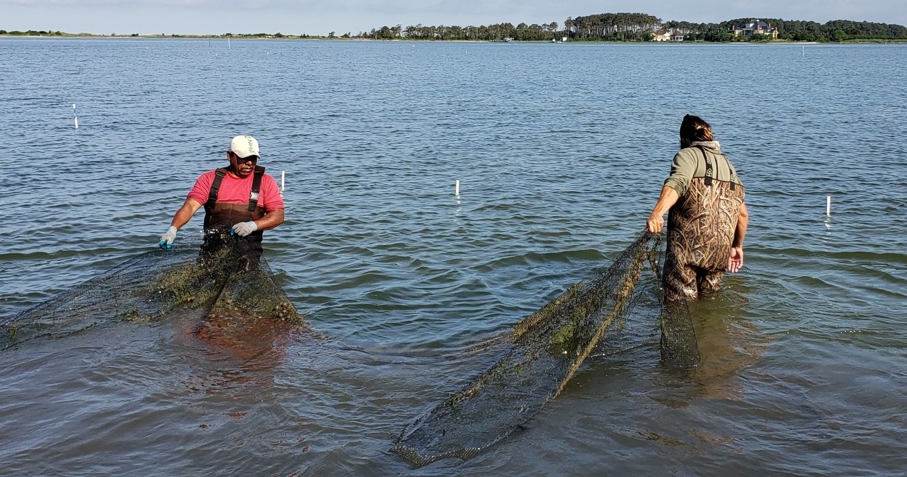 bed nets for fishing 8-Inch Net Dyco Bamboo Fishing Products Bait