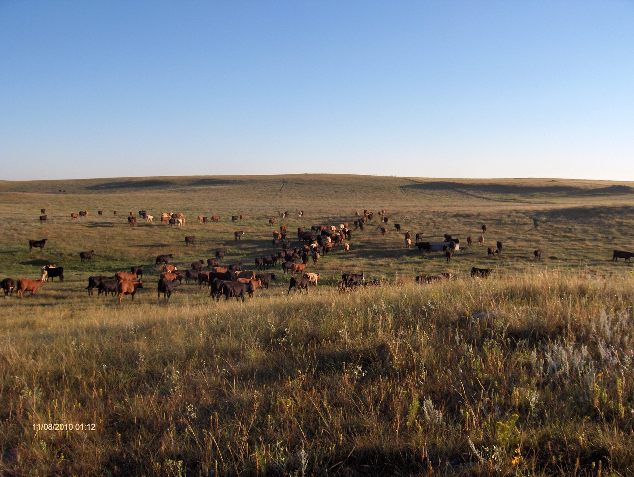Congrats to Davis Ranch for their... - History Colorado | Facebook