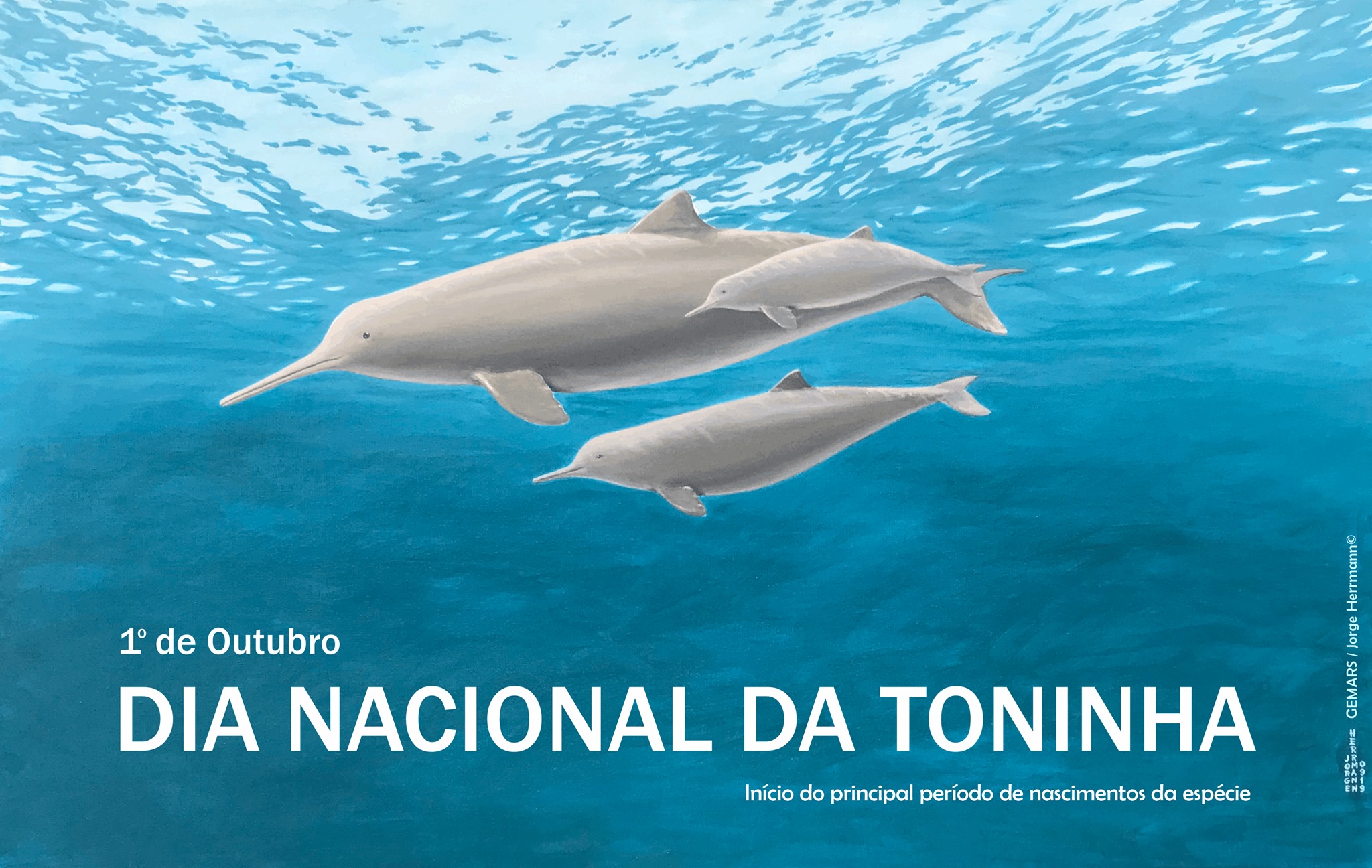 Você já ouviu falar sobre a... - Associação R3 Animal