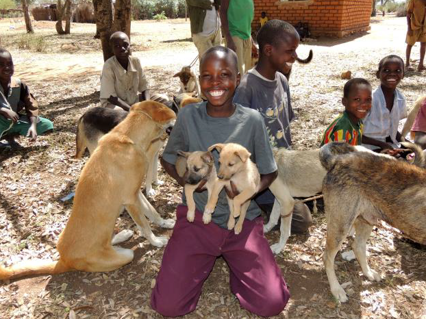 Eastside Animal Hospital - Merck, the makers of our rabies vaccination ...