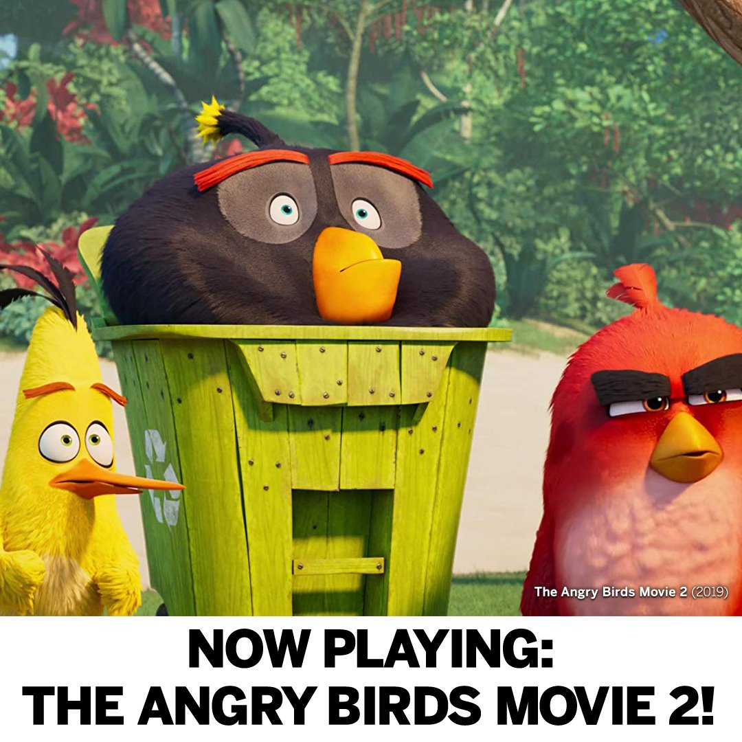 Scene - The Angry Birds Movie 2 is now in theatres! Can't believe the ...