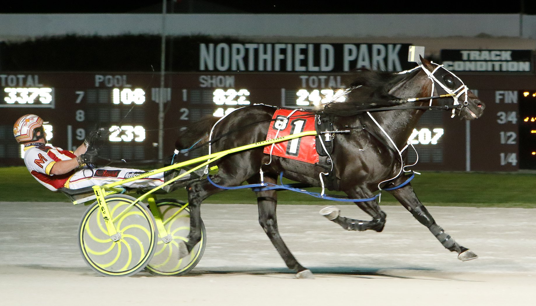 Northfield - Congratulations to the connections of Dragon's Striker ...