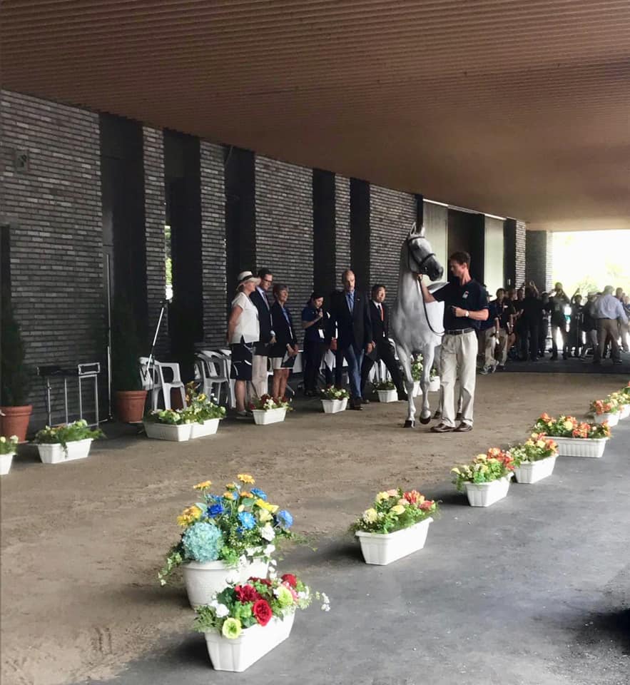 🇯🇵 TOKYO TEST EVENT UPDATE 🇬🇧 Both... - British Equestrian