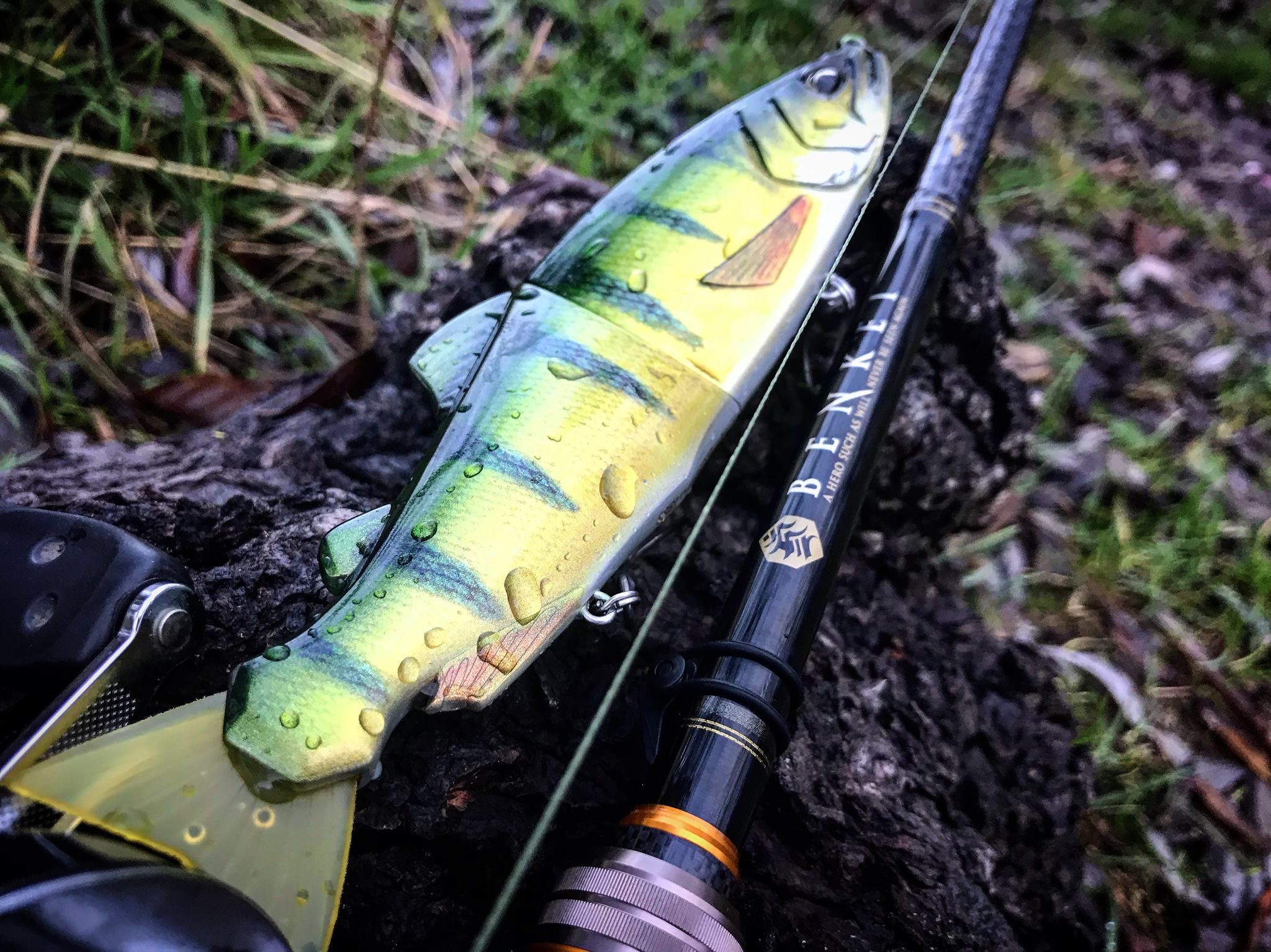 SWAT Fishing - 🤔Barsch oder Swimbait🤔 Zu dem super realistischen