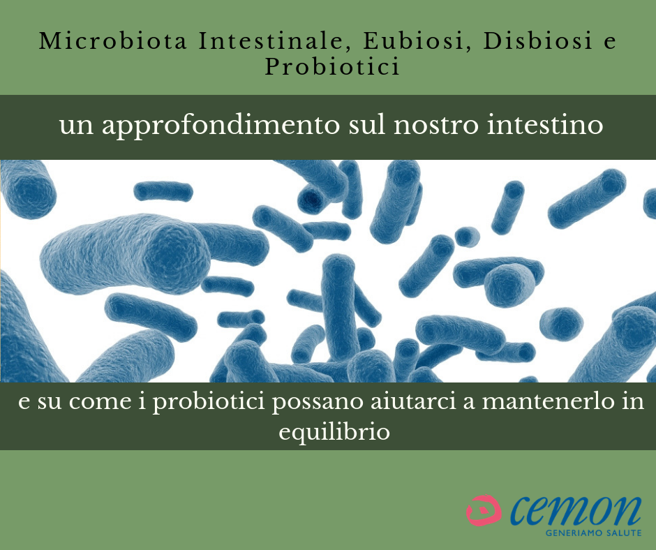 NATUSAT Yea-Sacc Lievito Vivo In Polvere Per Cavalli – 1000 G, Probiotico Per Microflora Intestinale, Mangime Complementare