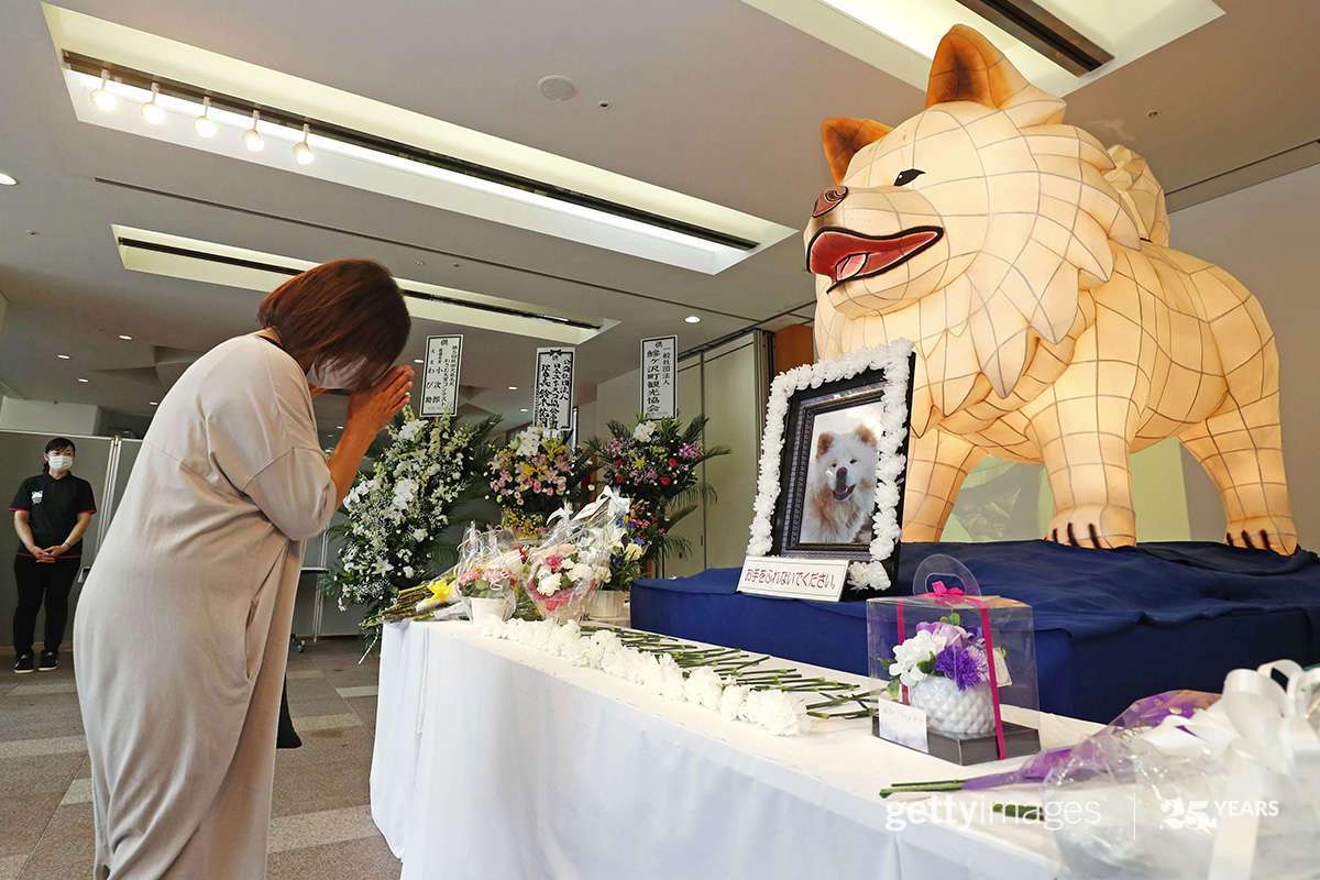 A gathering in memory of Akita dog, Wasao, who gained nationwide 