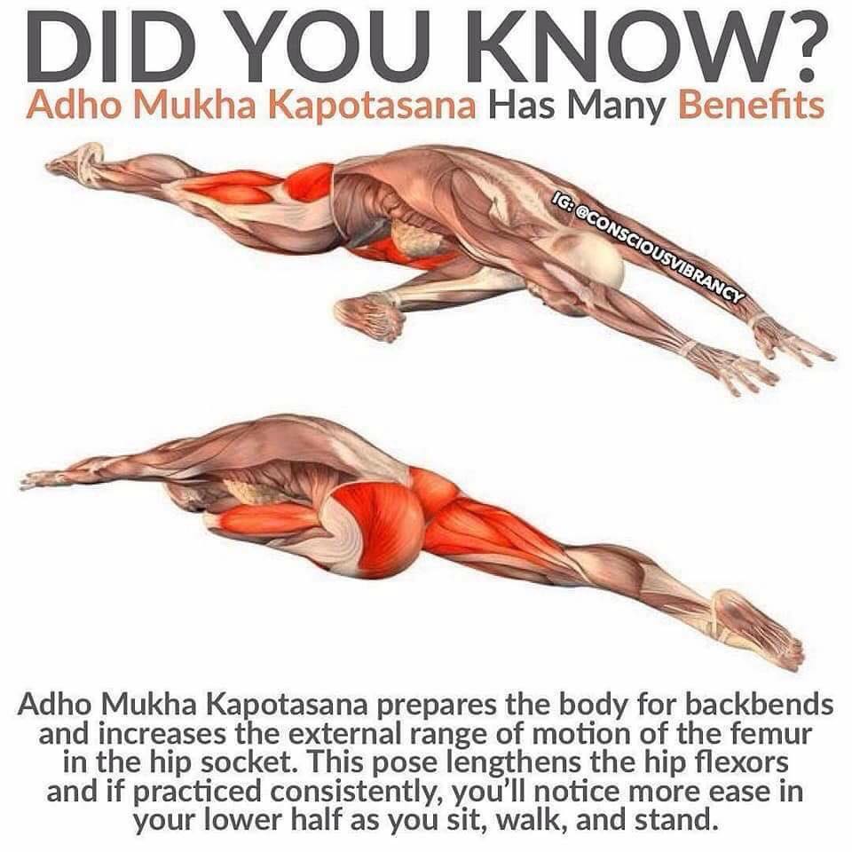 Pigeon Pose (or Adho Mukha Kapotasana in - Momentum Coaching