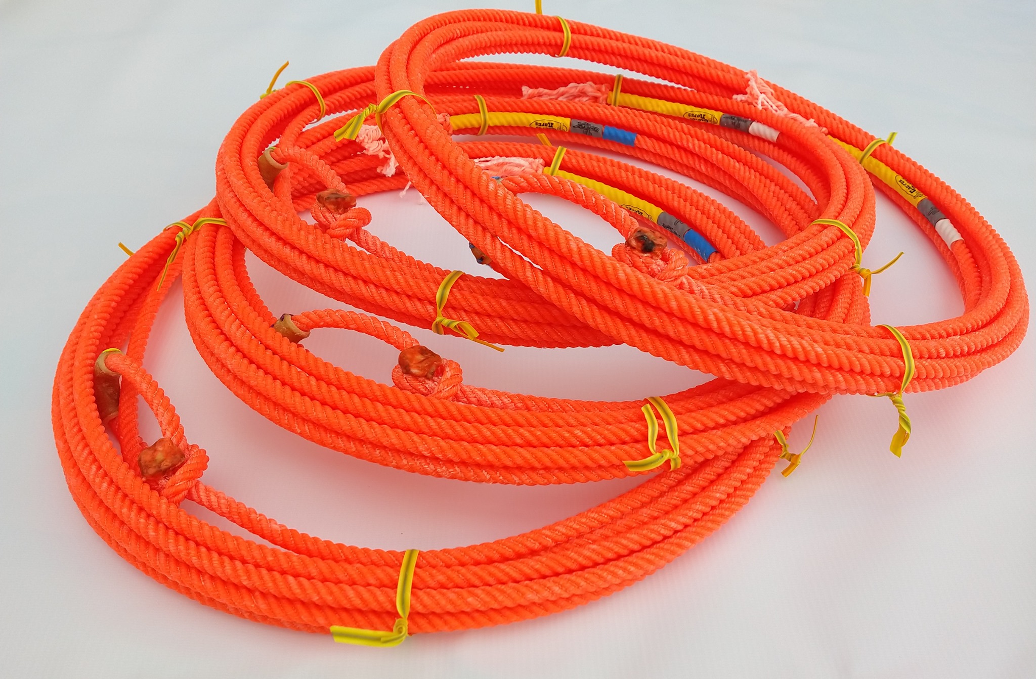 NEW Cactus Ropes Peacemaker is... - National Saddlery Company | Facebook