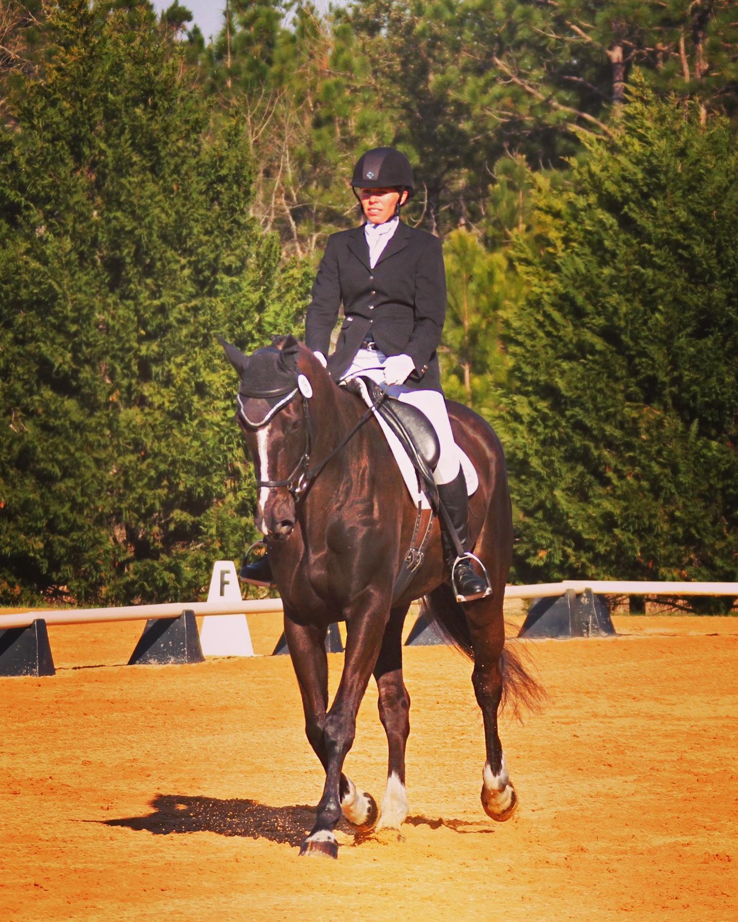Diamond City Equestrian Center | Beaufort NC