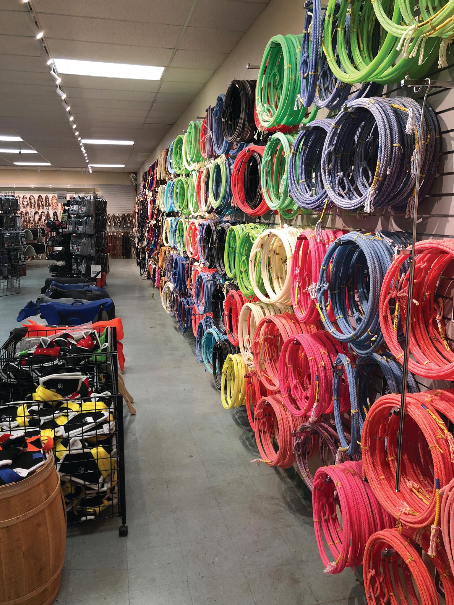 The Team - 8 Reasons You've Gotta See NRS-Wickenburg! 1. 𝐅𝐫𝐞𝐬𝐡𝐢𝐞𝐬 NRS ...