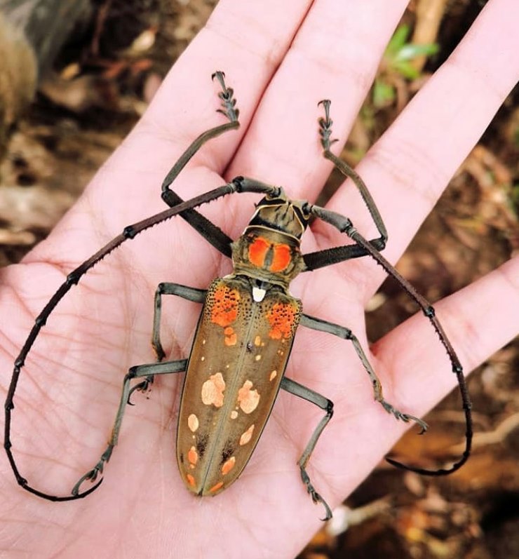 What do game wardens know about... - Vermont Fish & Wildlife | Facebook