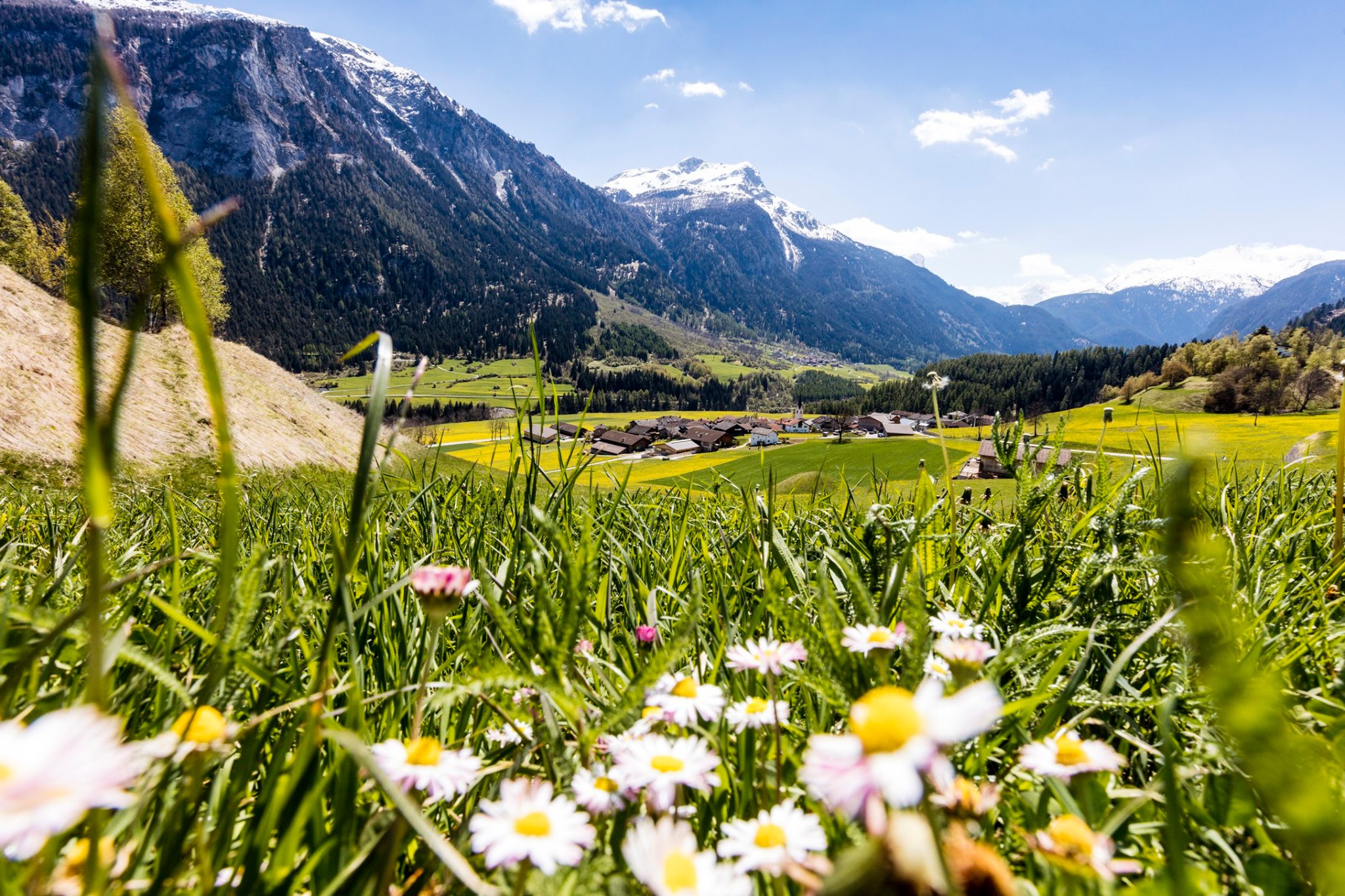 Endlich Wird S Warmer Der Schnee Viamala Echt