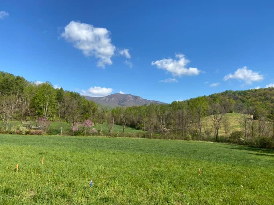 Blue Ridge Soil Consulting, Inc. | Ruckersville VA