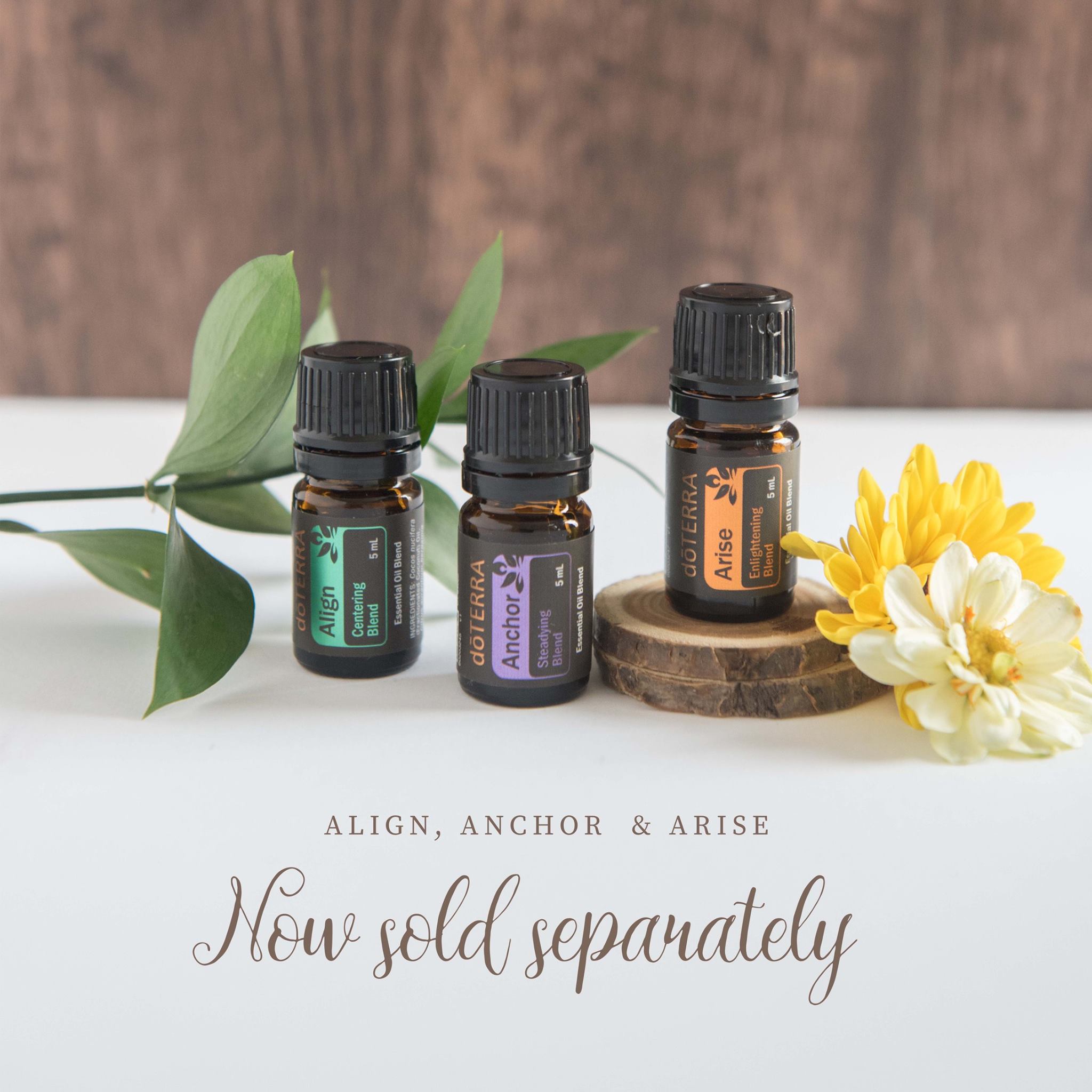 The moment all the yogis have been waiting for has arrived! The