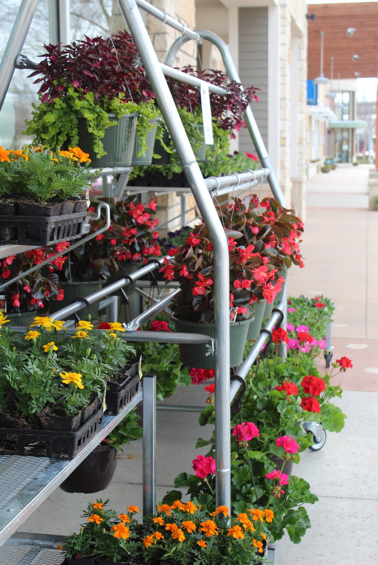 Spring is Here! Flowers & Hanging... - Elliott's Hardware