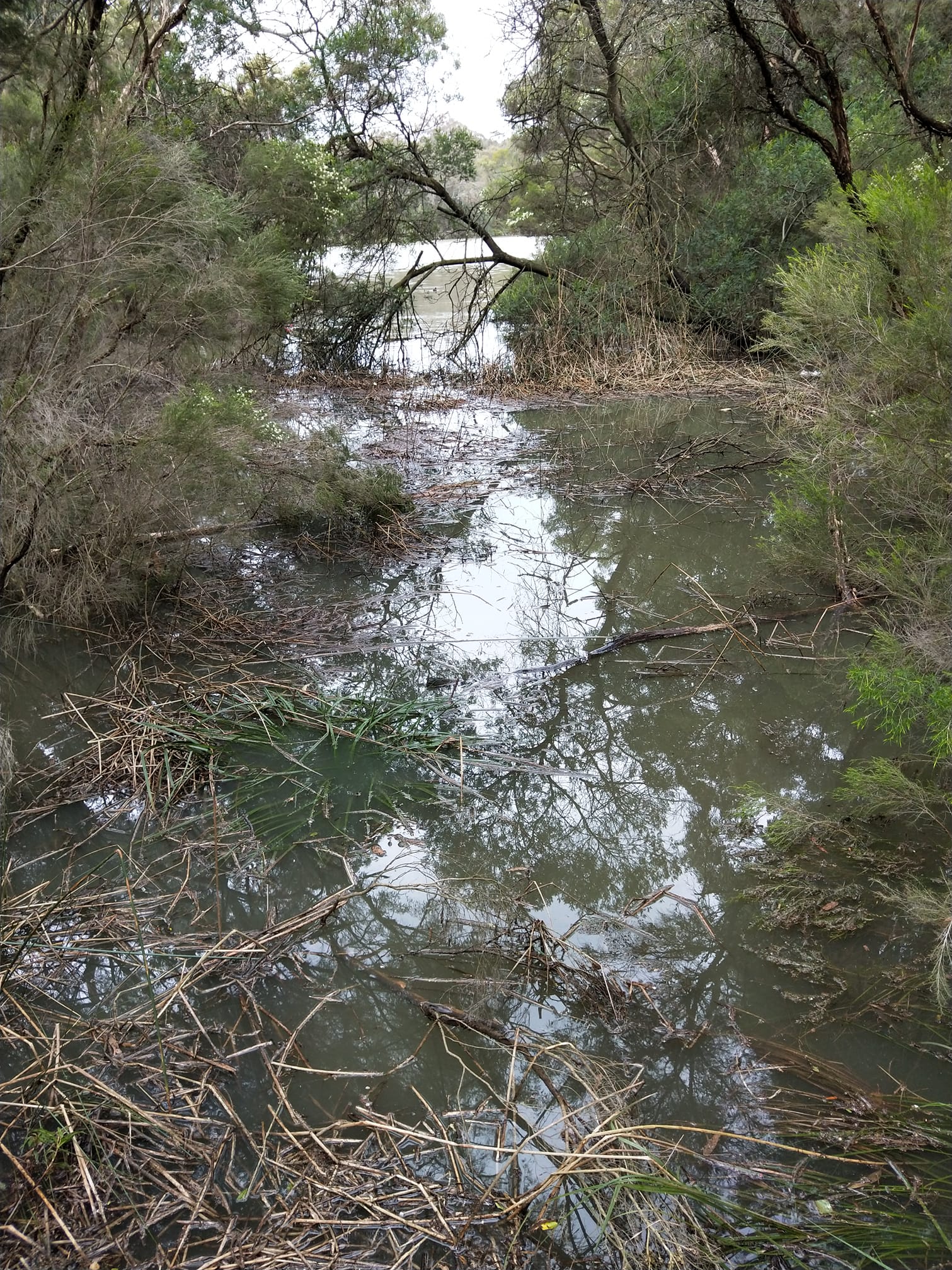 'By the rivers... - The Salvation Army Melbourne Project 614 | Facebook