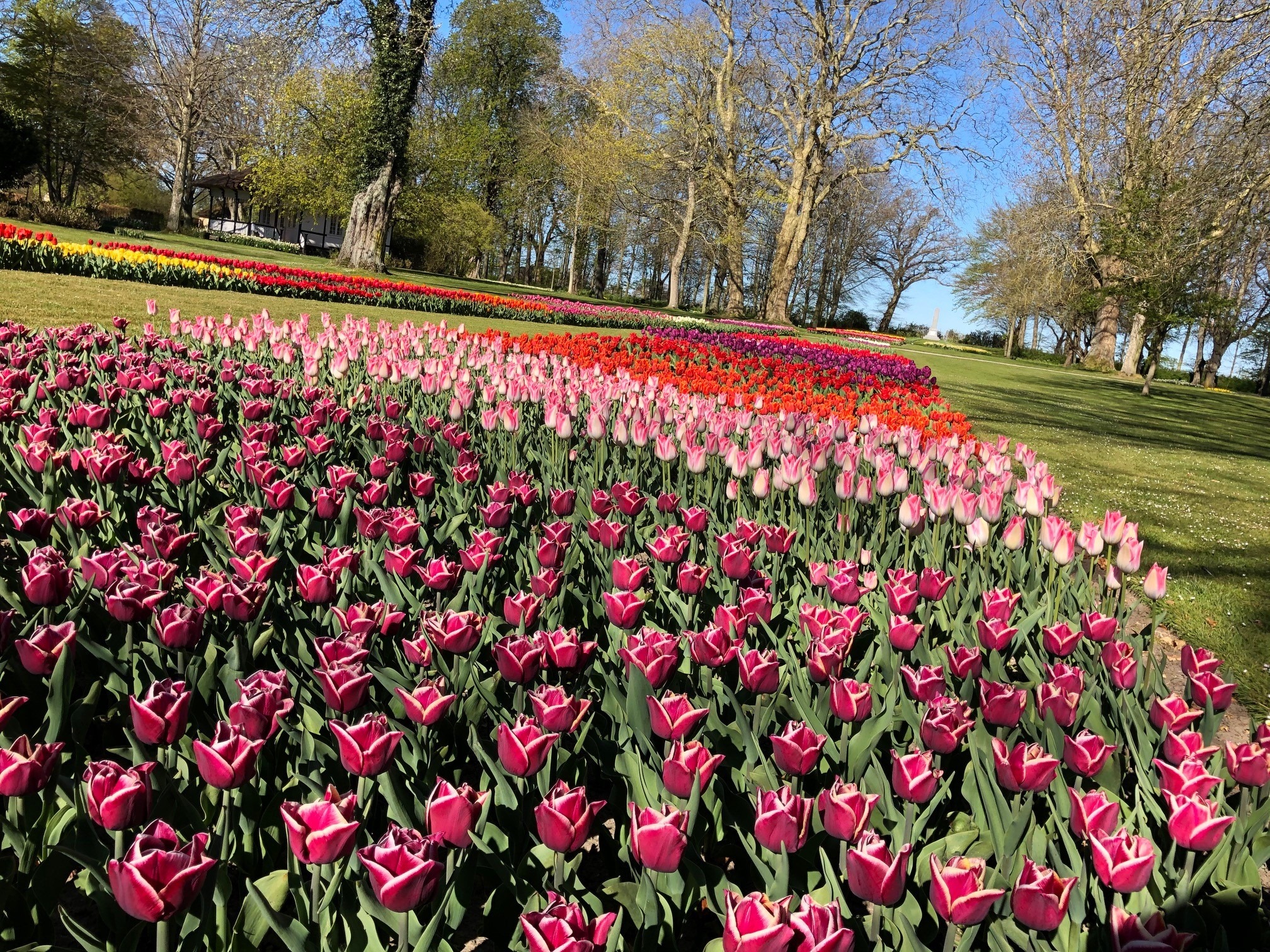 Gavnø Slot - TULIPANERNE BLOMSTRER 🌷🌷🌷 Landets ældste og... | Facebook