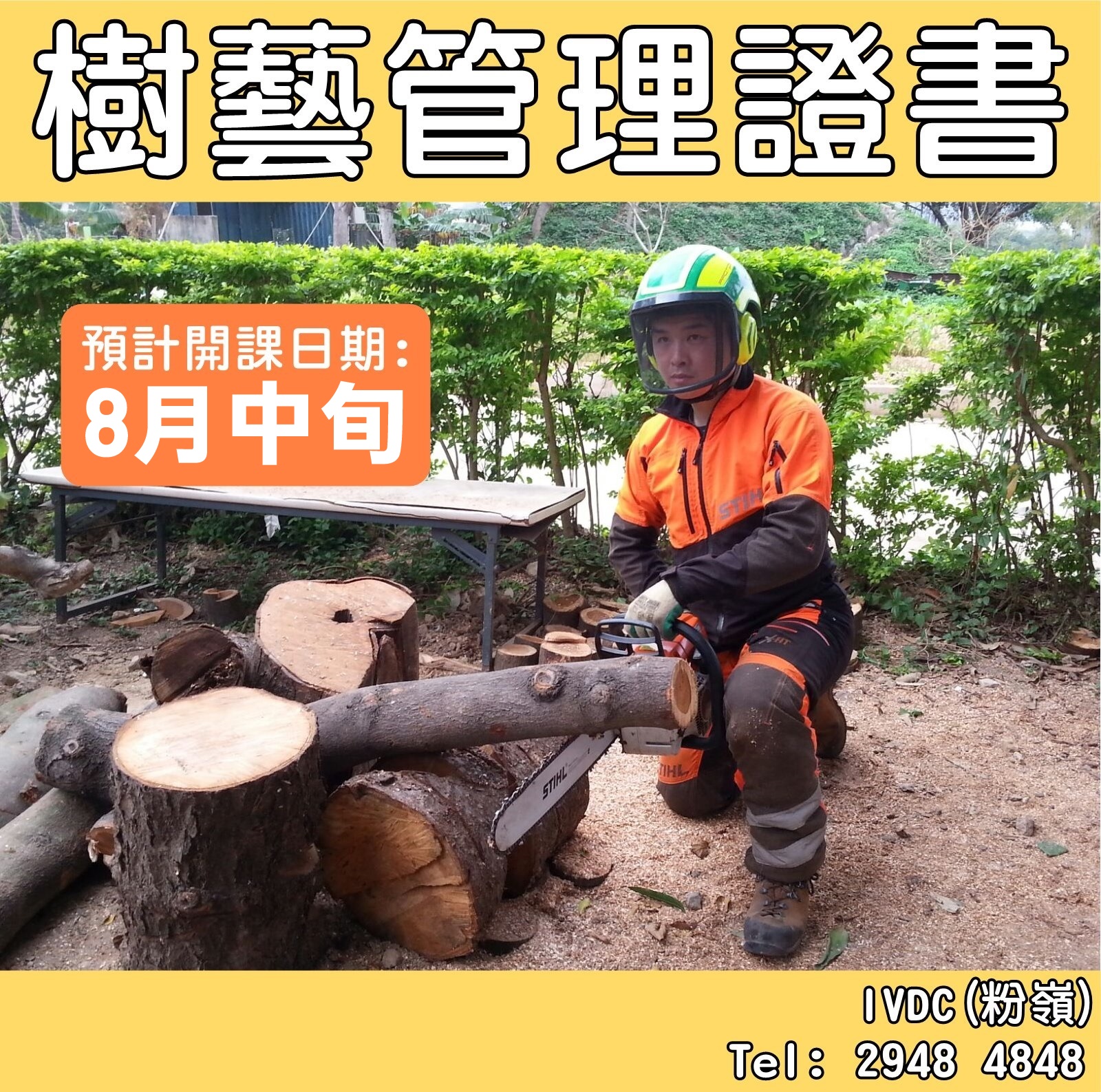 IVDC 匯縱專業發展中心 - IVDC(粉嶺)8月熱推課程 - 樹藝管理證書 點樣令棵樹無咁易冧?... | Facebook