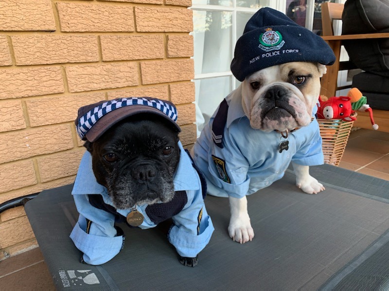 Thaiwahclub - The Paw Enforcement Unit 👮