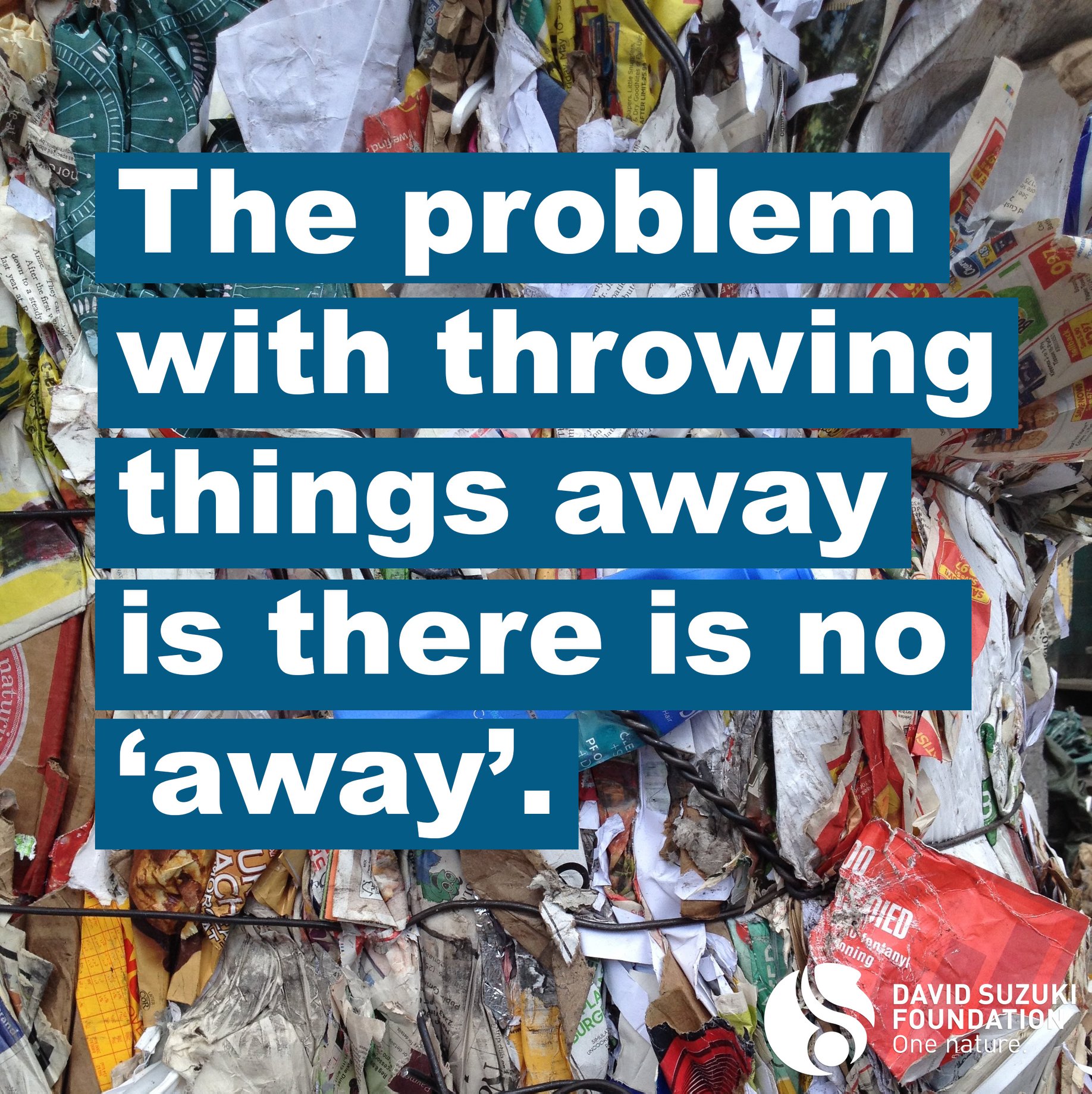 Our 'take-make-dispose' way of... - David Suzuki Foundation | Facebook