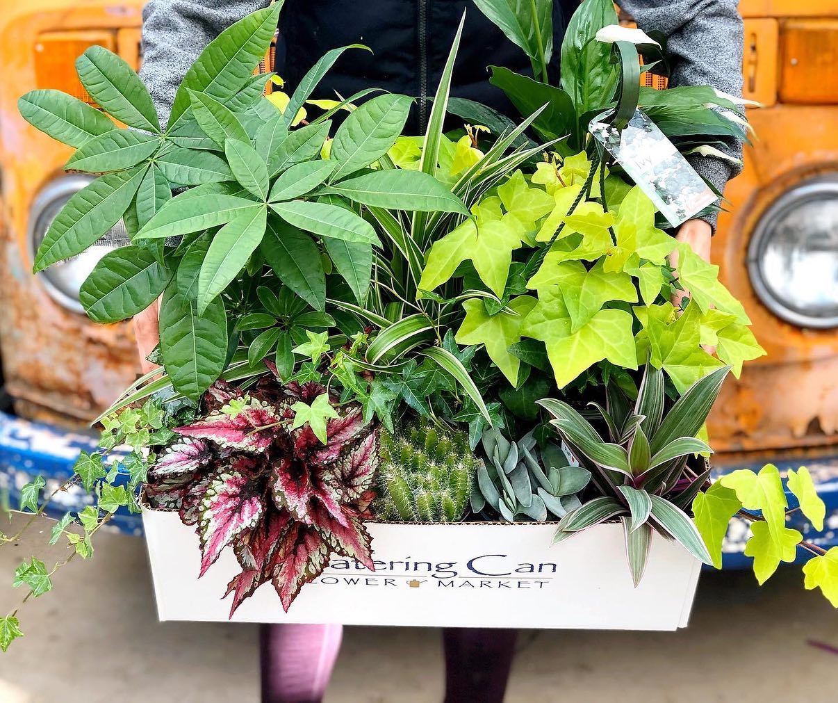 We still have three... - The Watering Can Flower Market | Facebook