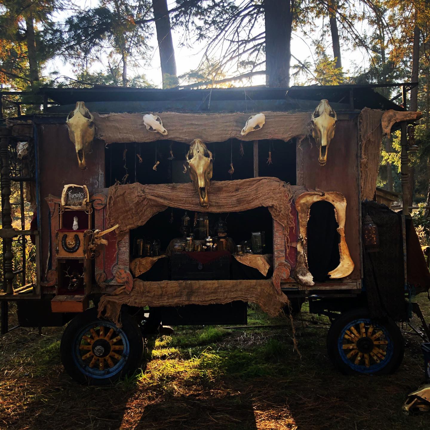 The Side Show... - Caravan Farm Theatre